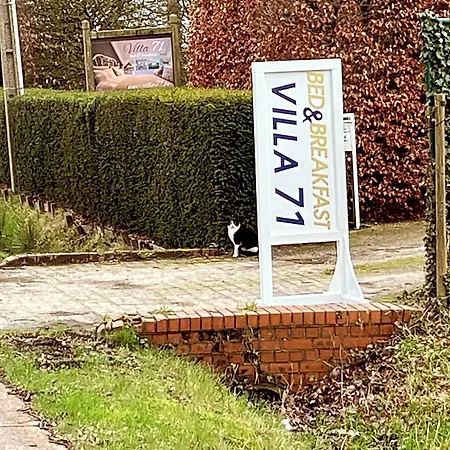 Villa71-3